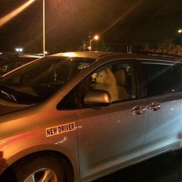 Meet your Posher, Nac - Picture 1 of 1